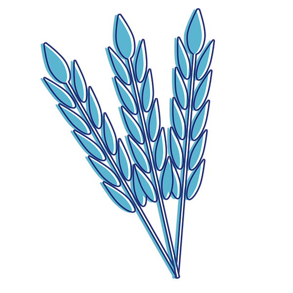 wheat asset (1).png