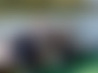 Wasserski Boot: TL in Poti