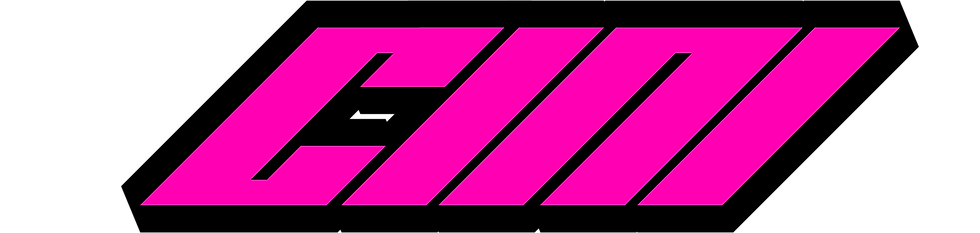 CINI LOGO NARROW.png