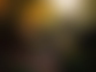 La Forêt d’Huelgoat et ses rochers dans le chaos du moulin. La rivière d'argent, le rocher tremblant, la grotte du diable