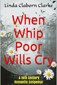 book cover.jpg