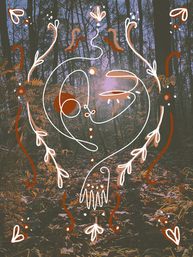 ✨9 Déc : LA CUEILLETTE : Balade en forêt✨