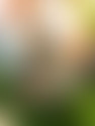 ✨☘️: ABUNDANCE SPELL JAR / Sortilège de l'abondance en fiole☘️✨