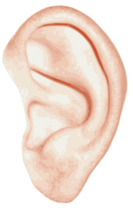 Leadership is Listening