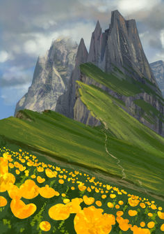 color study mountain flowers landscape