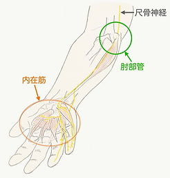 E3E5BC92-9838-4DDA-873A-A85FF0BC6C59.jpe