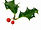Christmas Holly