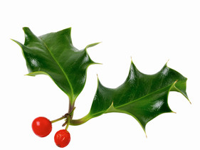 Openingstijden tijdens de feestdagen