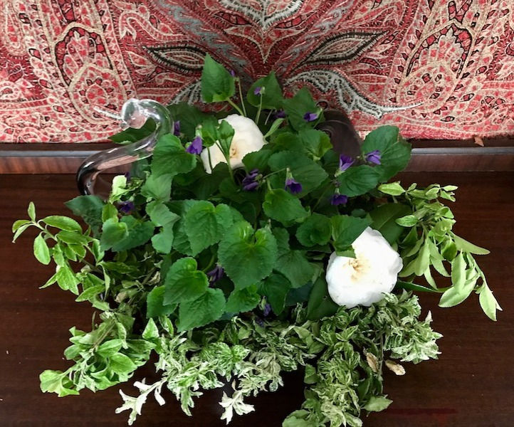 Days after the event, the violets kept blooming.