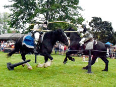 2025 - The Year in Review - May to Aug