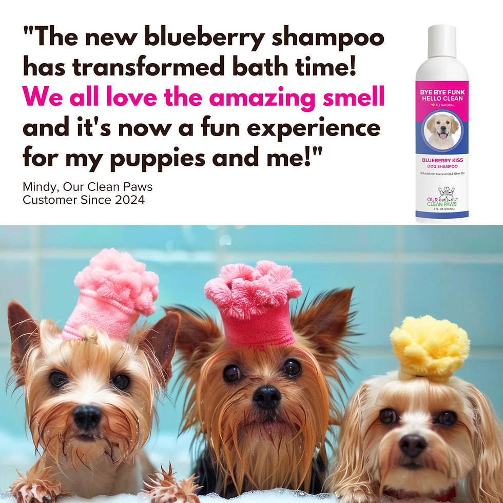 Thumbnail: Our Clean Paws™  BLUEBERRY KISS SHAMPOO