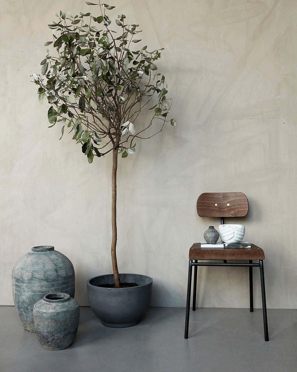 Miniaturbild: Chaise marron foncé et métal noir