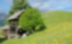 bauernleben_gross