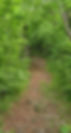 groefelallee_gross