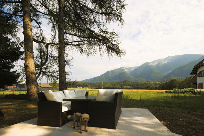 Sonniger Garten mit Bergblick, Hunde und Gartenmöbel