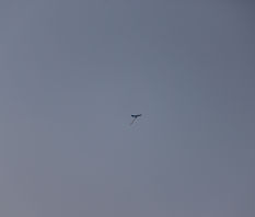 IMG_1215.JPG