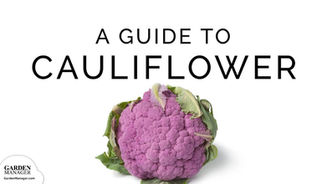 How to Grow Cauliflower