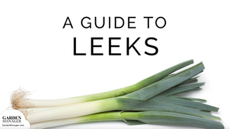 Growing Leeks