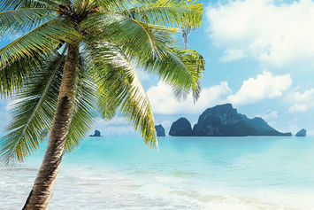 Une gamme de glaces sans lactose, vegan, qui ne fait aucune concession sur le plan du goût. Pour séduire tous les consommateurs, même ceux qui tolèrent bien le lactose, le design se montre attractif, évoquant le plaisir et l'exotisme plutôt que la privation. Pari réussi: dès le lancement, la gamme a trouvé ses consommateurs. De nouveaux produits sont régulièrement lancés. Par exemple les cornets, dont le biscuit gaufré ne contient pas de gluten. Ces innovations ont été récompensées deux ans de suite par les Swiss Vegan Awards.
Eine Auswahl an laktosefreiem, veganem Glace, das geschmacklich keine Kompromisse macht. Um alle Konsumenten anzusprechen, auch diejenigen, die Laktose gut vertragen, ist das Design attraktiv und ruft eher Freude und Exotik hervor als Entbehrungen. Erfolgreiche Wette: Ab dem Start fand das Sortiment seine Konsumenten. Neue Produkte werden regelmässig eingeführt. Zum Beispiel Cornets, deren Waffelkeks kein Gluten enthält. Diese Innovationen wurden bereits zwei Jahren in Folge mit den Swiss Vegan Awards ausgezeichnet.