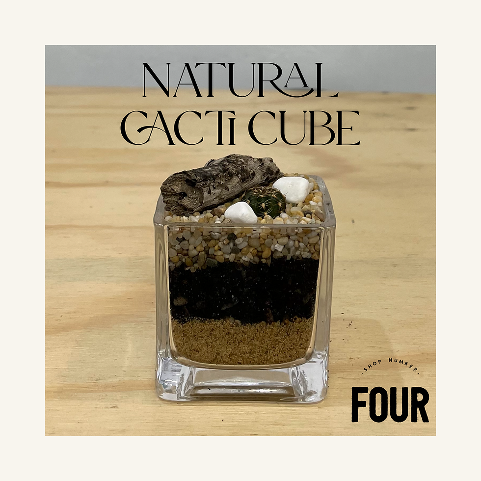 Thumbnail: Cube terrarium 