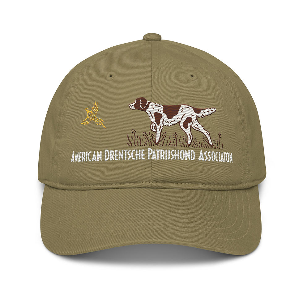 Thumbnail: ADPA Primary Logo Baseball Hat