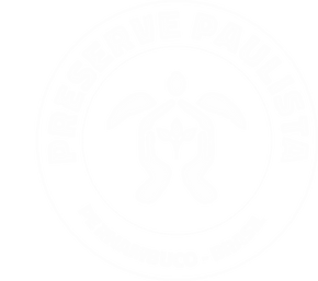 Logo png.png