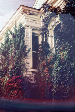 Mansion