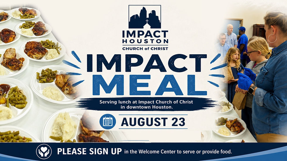 Impact Meal