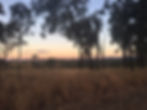 Gorgeous Sandstone Park sunrise