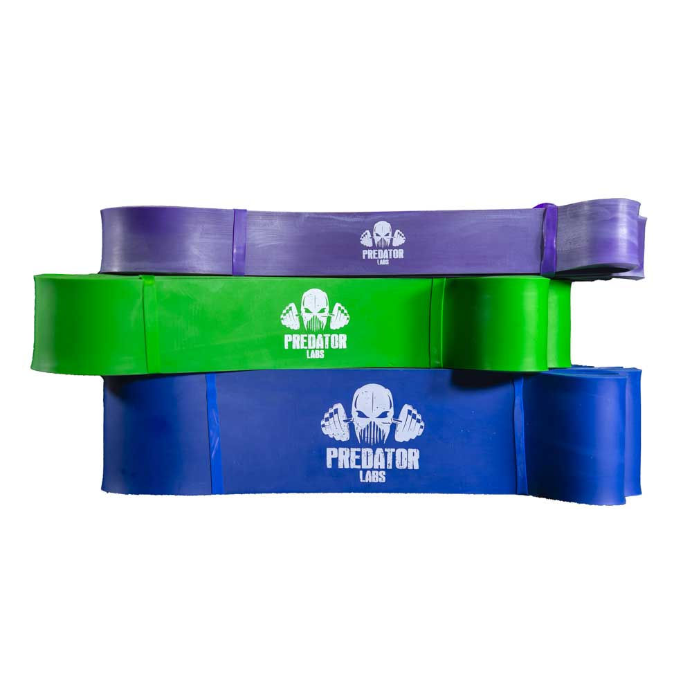 PREDATOR LABS - BANDE ÉLASTIQUES