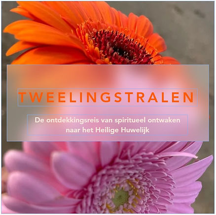 Schermafbeelding 2025-02-20 160810.jpg