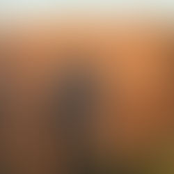 Tweelingzielen... uit de schaduw