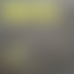 Moed…is zachte kracht