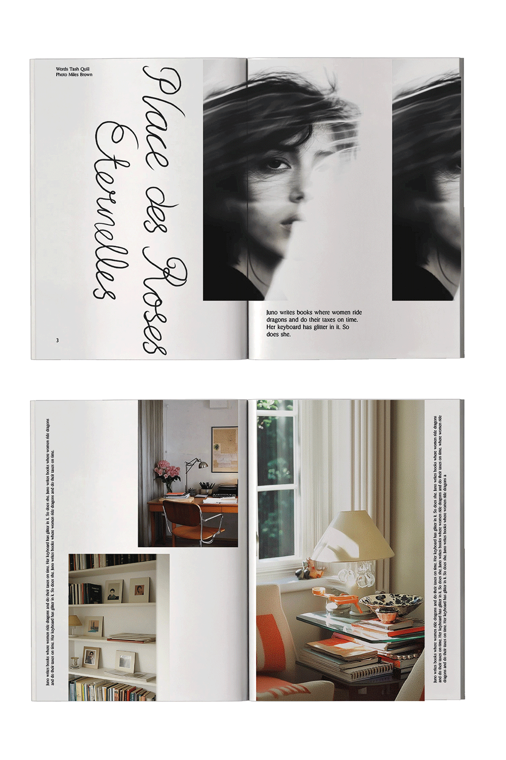 flip_magasin.gif