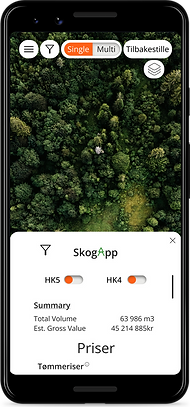 Google Pixel 17.png