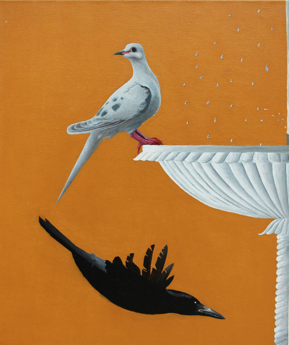 Pigeon and crow near a fountain 2