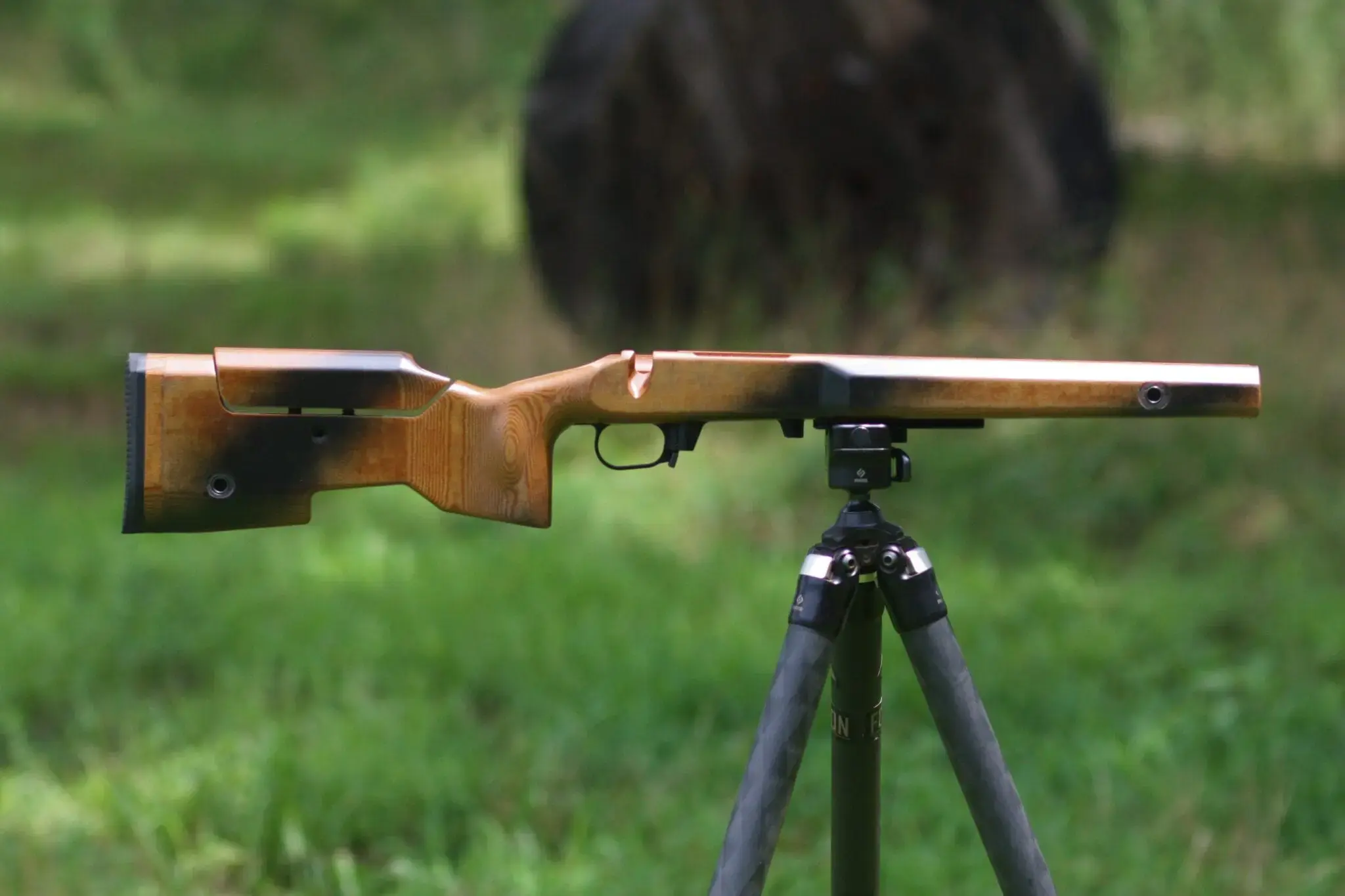 Foundation Centurion