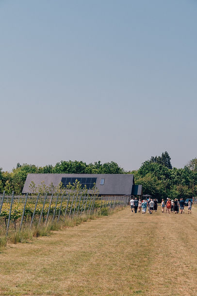A7300201.jpg