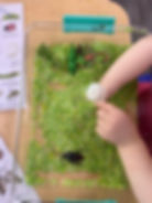 Spring Sensory