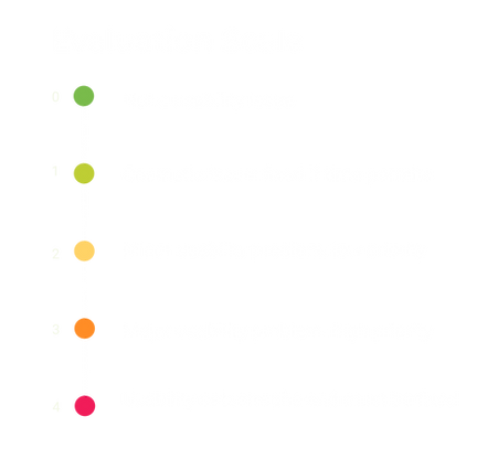 Evaluation Scale - Mads.png