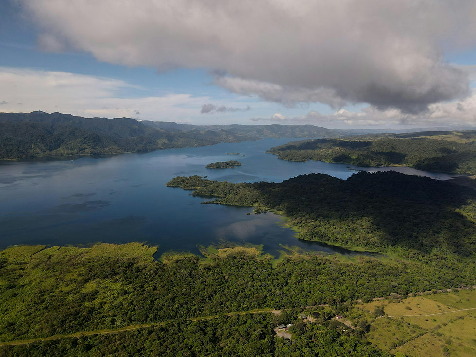 Aerial view of Cahuita National Park in Limón, Costa Rica surrounded by rainforest and Caribbean coastline