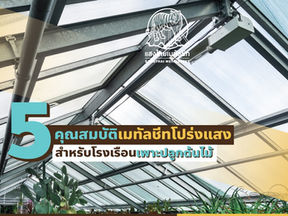 5 คุณสมบัติเมทัลชีทโปร่งแสงสำหรับโรงเรือนเพาะปลูกต้นไม้