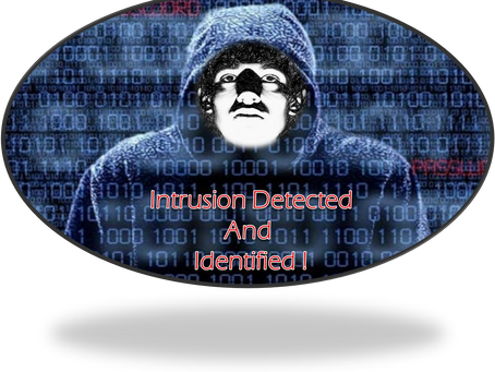 Next-gen intrusion detection: Shine a Light on Malicious Activity!