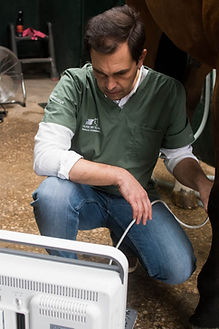 Imagiologia ecografia.JPG