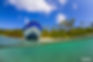 Isla Gobernadora Panama.jpeg