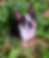 IMG_0688.HEIC