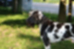 IMG_1039.JPEG