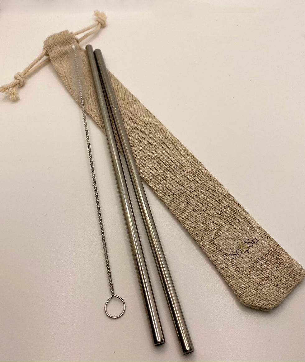Miniature : Set de pailles en inox
