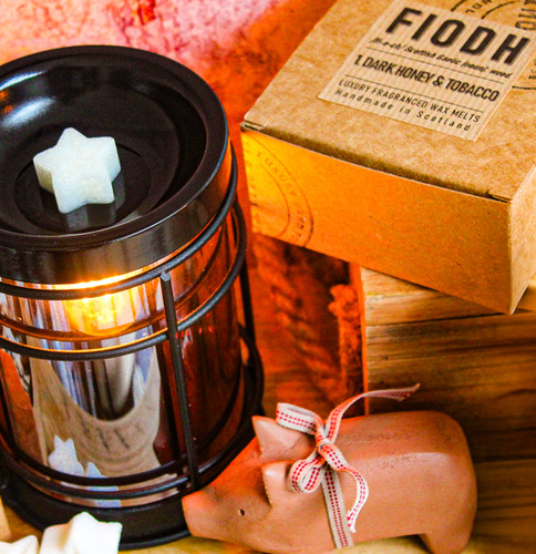 Fiodh 1: Dark Honey and Tobacco Wax Melts