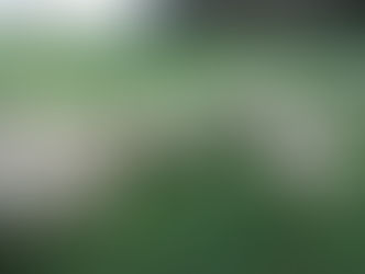 22/July/2018 버사교 소식